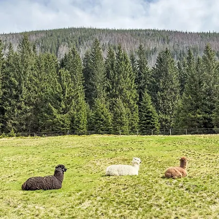 Stara Hut By Interhome Apartament *